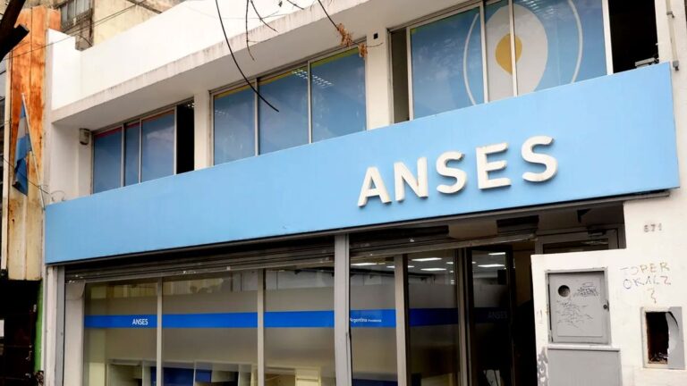 ANSES: las familias que cobrarán hasta $300.000 en febrero 2025