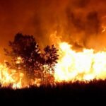 434499-incendios-fuera-de-control-tambien-en-bariloche-las-llamas-avanzan-y-ya-casi-alcanzan-viviendas