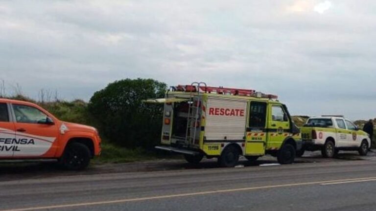 Conmoción en Mar del Plata: un ciclista murió al caer de un acantilado