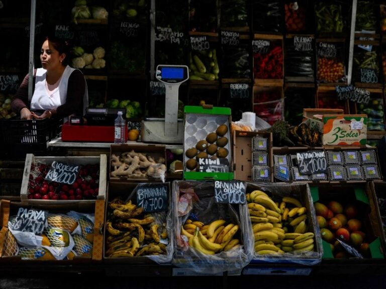 El gobierno de Javier Milei disolvió la Comisión Nacional de Alimentos