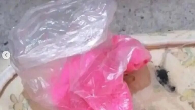 Investigan sustancia rosa incautada en la Patagonia como parte de una red de narcotráfico
