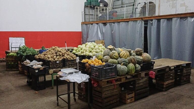 Hallan frutas y verduras no declaradas en comercio de La Loma