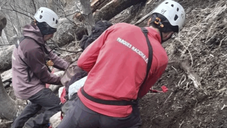 Un hombre de 87 años fue rescatado tras ser aplastado por su caballo