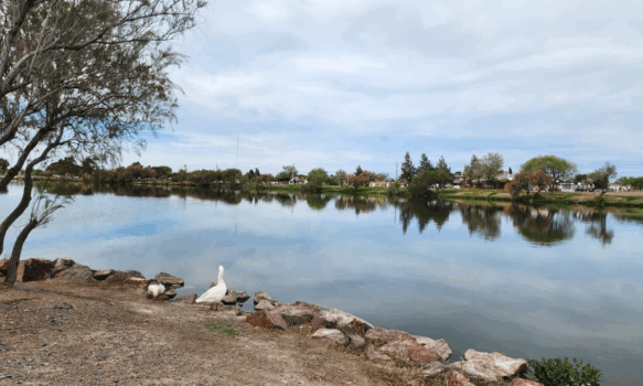 La Laguna Cacique Chiquichano de Trelew muestra signos de recuperación
