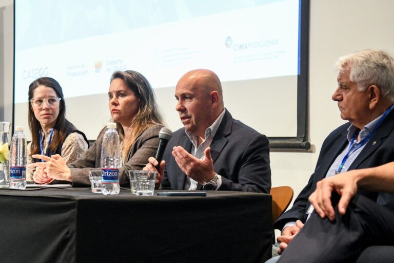 Madryn fue sede de Día PyME