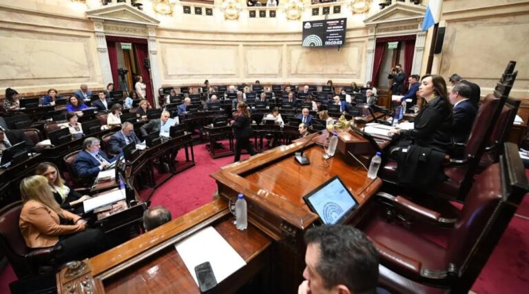 Las declaraciones juradas de los senadores: qué patrimonio informaron los legisladores de Chubut y Santa Cruz