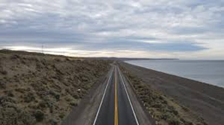 Incautaron reptiles exóticos, marihuana y más de $66 millones en controles sobre la Ruta 3